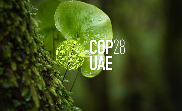 Xynteo COP28 Webinar Image
