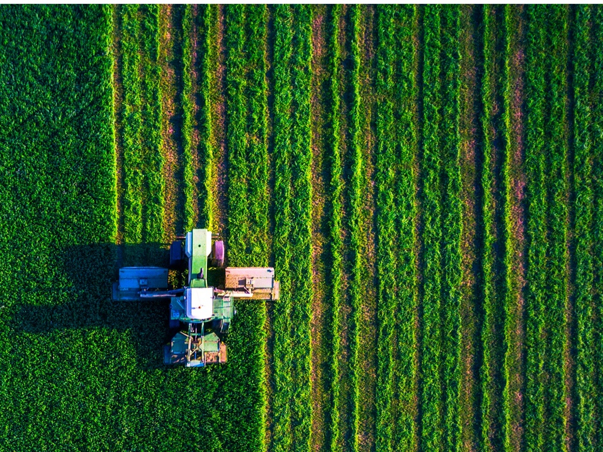 Tractor and Field from Above